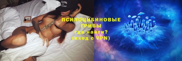 прущие грибы Алексеевка
