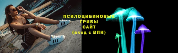 прущие грибы Алексин