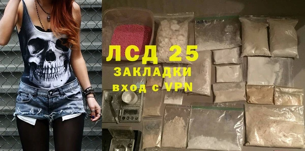 прущие грибы Алексеевка