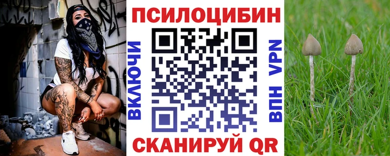 Галлюциногенные грибы Psilocybe  Тюкалинск 